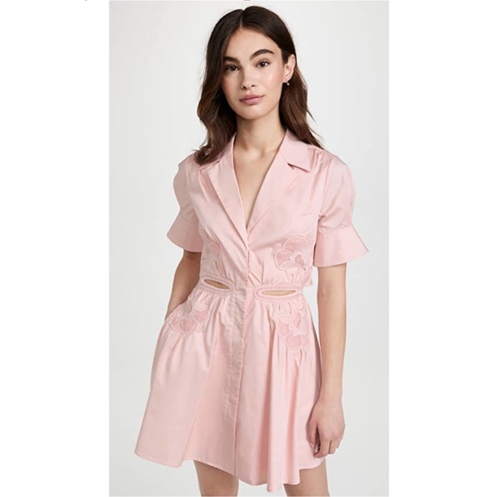 Self Portrait Pink Cutout Mini Lace Applique Trim Collared Mini Dress Mod